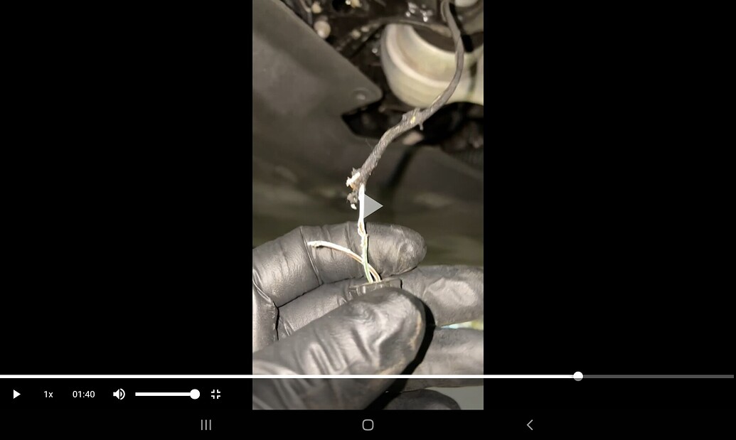 Wife's been feeding wild hares - Otherground - MixedMartialArts.com