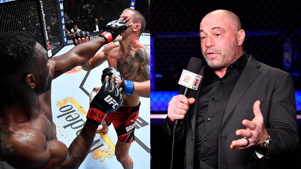 Rogan Gloves You Underground MMA Underground Forums