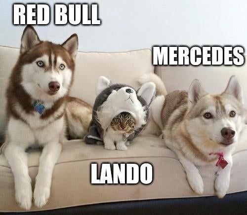c3ddd833bbcc7e3d3dc6ee394162576c8aa39d32.jpeg